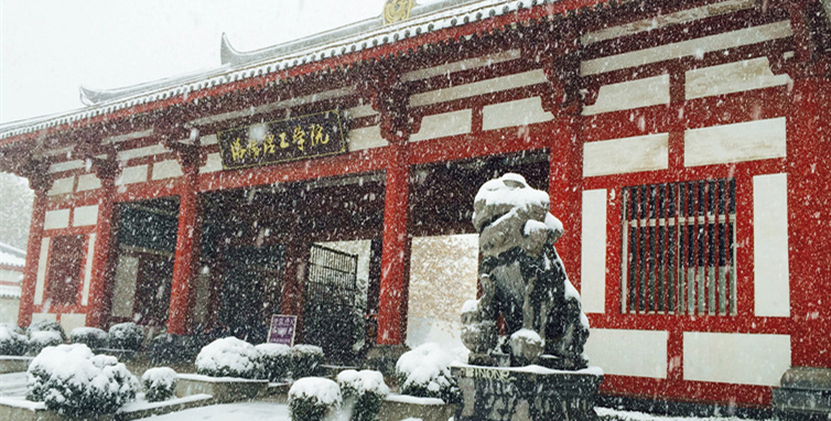 洛理初雪